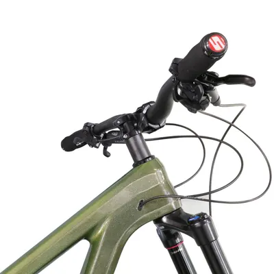 ICAN Enduro 29er Boost Paint