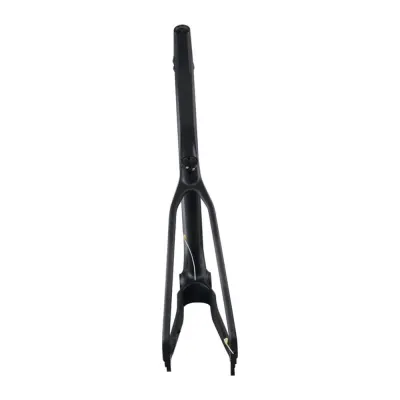 ICAN 29er M17