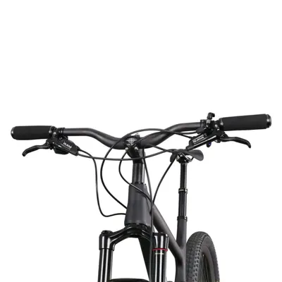 ICAN 27.5 Plus P1