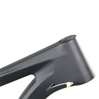 ICAN 29er M17