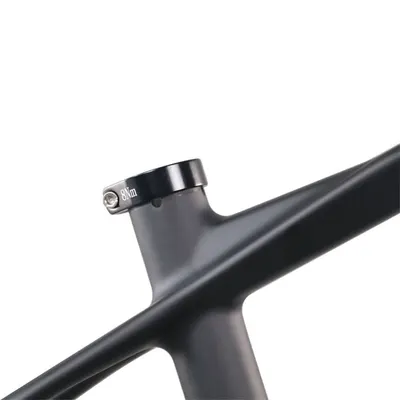 ICAN 29er M17
