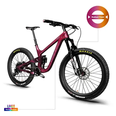 ICAN 29er Enduro Rainbow P9