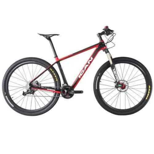 ICAN 29er Mountain