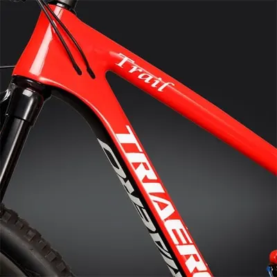 ICAN 27.5 Plus P1